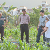 ��������������ָ���������ֹ���