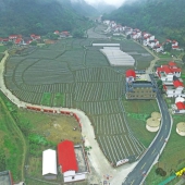 �������  ��ɫ�캽���·� ���ָ��ܴ����ˡ�������������������˶��