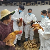 �ź��磺������ֳ������ �ػ����ա�Ǯ���ӡ�