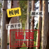 ����ح�����ɺ�����ֲ�������£�ר�һ�Ӧ