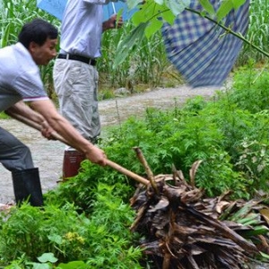 ���㣺�ڱ�������ɽ��������