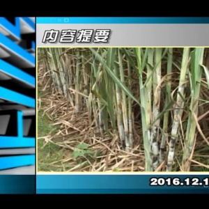 ������365��2016��12��16��������