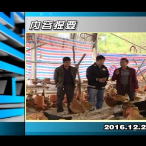 ������365��2016��12��23��������