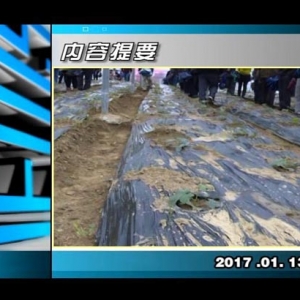 ������365��2017��1��13��������