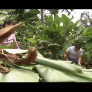 ������365��2017��3��10��������