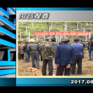 ������365��2017��8��30��������