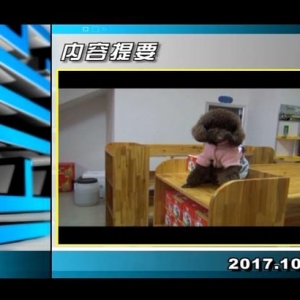 ������365��2017��10��13��������