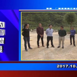 �������š�2017��10��23������һ