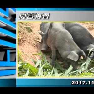 ������365��2017��11��1��������