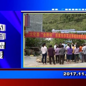 �������š�2017��11��14�����ڶ�