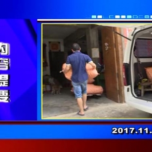 �������š�2017��11��21�����ڶ�