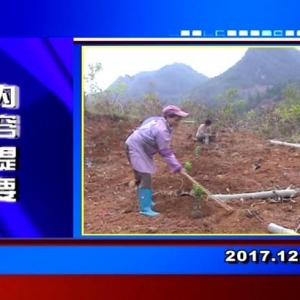 �������š�2017��12��8��������