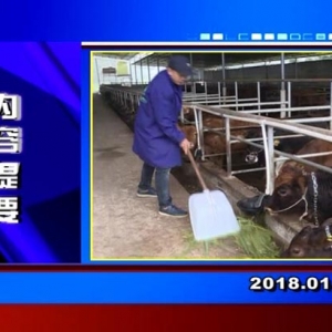 �������š�2018��1��25��������