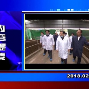 �������š�2018��2��7��������