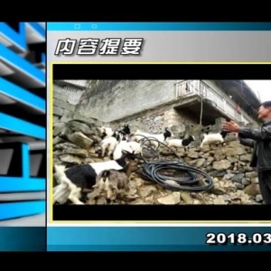 ������365��2018��3��14��������