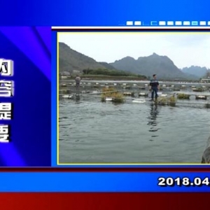 �������š�2018��4��12��������