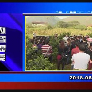 �������š�2018��6��1��������