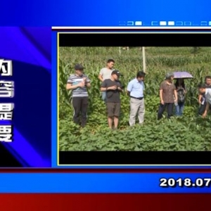 �������š�2018��7��23������һ