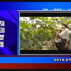 �������š�2018��7��24�����ڶ�