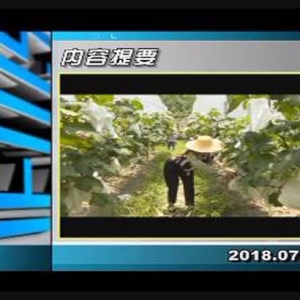 ������365��2018��7��25��������