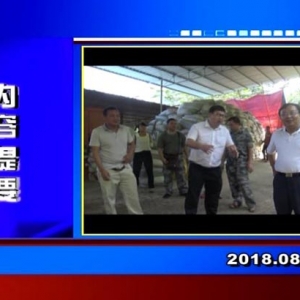 �������š�2018��8��10��������