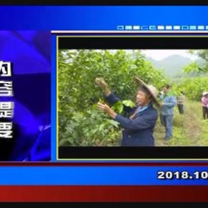 �������š�2018��10��29������һ