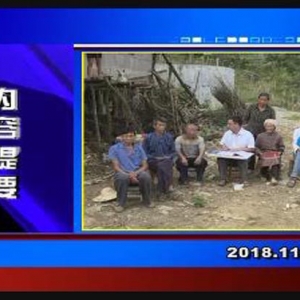 �������š�2018��11��7��������