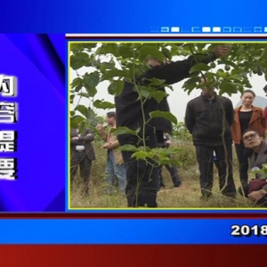 �������š�2018��12��25�����ڶ�