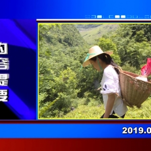 �������š�2019��01��03��������