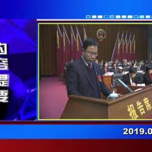 �������š�2019��01��17��������