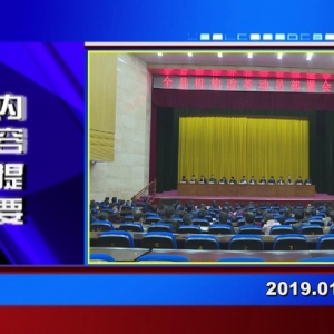 �������š�2019��01��31��������