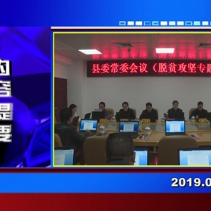 �������š�2019��02��21��������