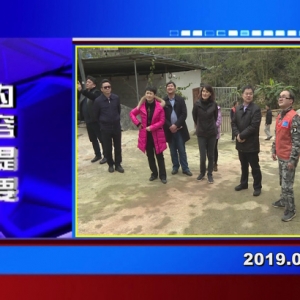 �������š�2019��02��25������һ