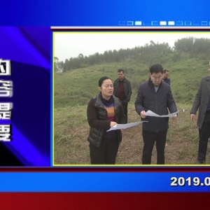 �������š�2019��02��26�����ڶ�