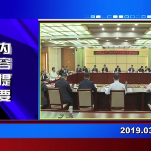 �������š�2019��03��01��������