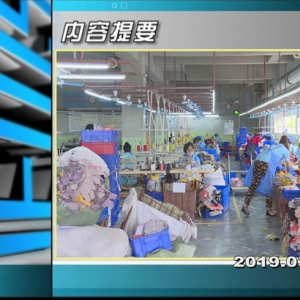 ������365�� 2019��03��01��������