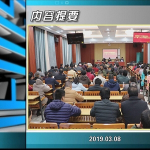 ������365�� 2019��03��08��������