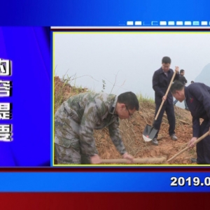 �������š�2019��03��15��������