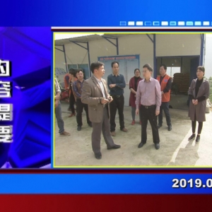 �������š�2019��03��26�����ڶ�