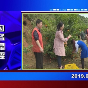 �������š�2019��03��28��������