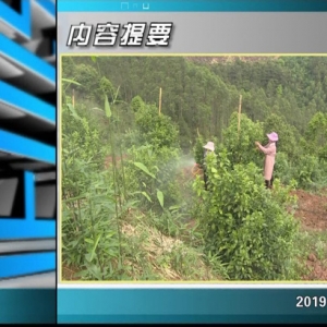 ������365�� 2019��03��29��������