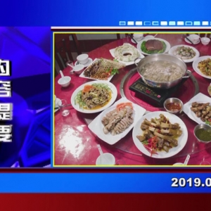 �������š�2019��04��11��������