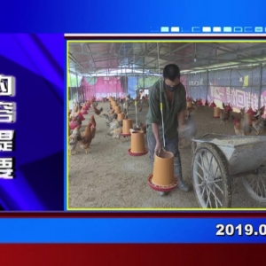 �������š�2019��04��25��������