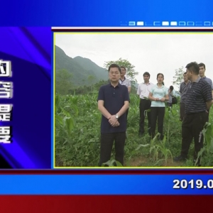 �������š�2019��04��28��������