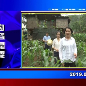 �������š�2019��05��20������һ