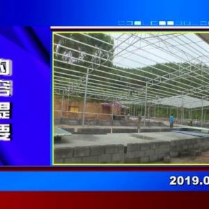 �������š�2019��05��21�����ڶ�