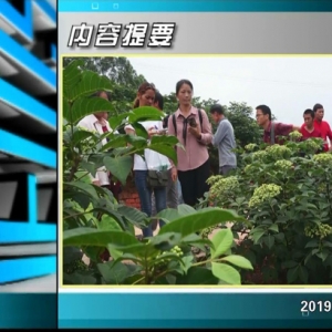 ������365�� 2019��06��05��������