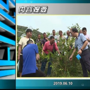 ������365�� 2019��06��10������һ