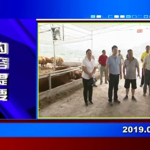 �������š�2019��07��22������һ