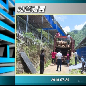 ������365�� 2019��07��24��������